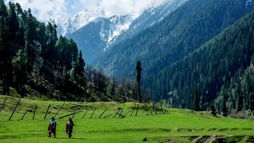 Best Kashmir Package